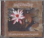 Namkhay Daniel: Momento presente, momento sagrado - CD