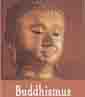 Žižlavský Roman: Buddhismus (kolibřík)