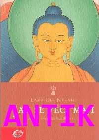 ANTIK5: Nydahl Ole: Jak se věci mají - Současný úvod do Buddhova učení