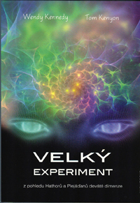 Kennedy Wendy: Velký experiment