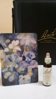 bachova esence č. 6 CHERRY PLUM - Slíva třešňová