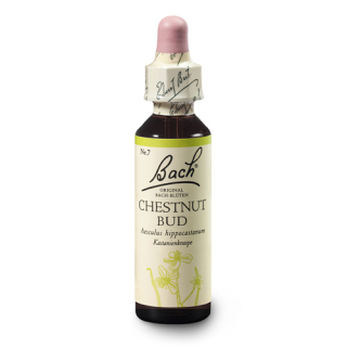 bachova esence č. 7 CHESTNUT BUD - Poupě jírovce