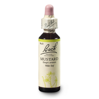 bachova esence č. 21 MUSTARD - Hořčice polní