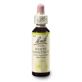 bachova esence č. 35 WHITE CHESTNUT - Bílý kaštan
