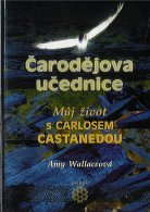 ANTIK2: Wallaceová Amy: Čarodějova učednice