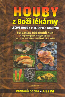 Socha Radomír: Houby z Boží lékárny