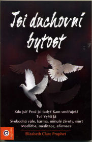 Prophet E. Clare: Jsi duchovní bytost