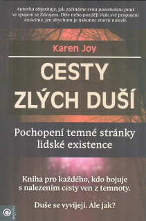 Joy Karen: Cesty zlých duší - Pochopení temné stránky ...