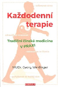 Weidinger Georg: Každodenní terapie - TČM v praxi