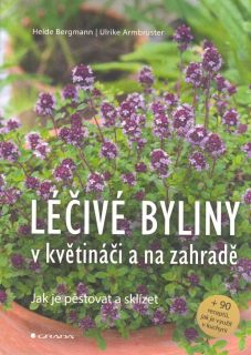 Bergmann Heide: Léčivé byliny v květináči a na zahradě