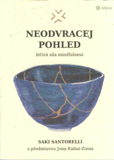 Santorelli Saki: Neodvracej pohled - léčivá síla mindfulness