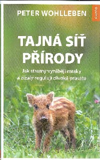 Wohlleben Peter: Tajná síť přírody