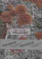 Dosoudil Martin: Příležitost