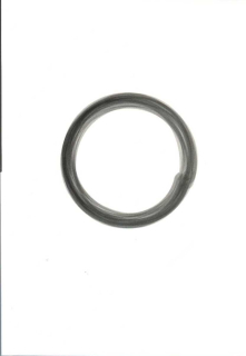 Krutina Jiří: Vědomí - prvotní princip ve-smíru