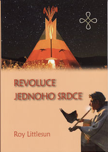 Littlesun Roy: Revoluce jednoho srdce