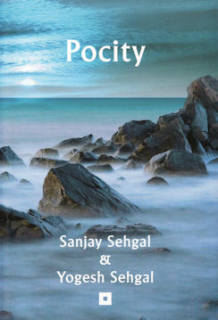 Sehgal Sanjay: Pocity (slovensky)