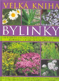 Clevely Andy: Bylinky - velká kniha