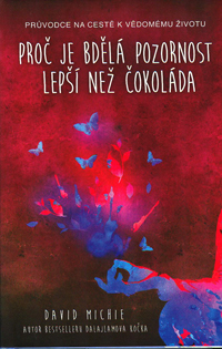 Michie David: Proč je bdělá pozornost lepší než čokoláda