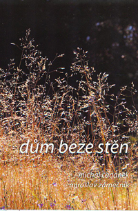 Čagánek Michal: Dům beze stěn