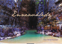 Velechovská Eva: Enneavhledy