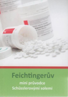 Feichtingerův mini průvodce Schusslerovými solemi